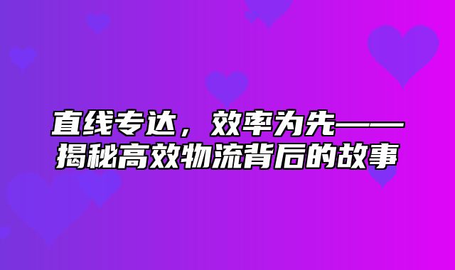 直线专达，效率为先——揭秘高效物流背后的故事