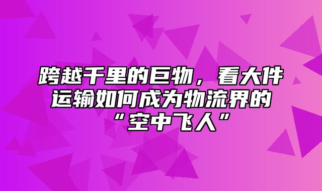 跨越千里的巨物，看大件运输如何成为物流界的“空中飞人”