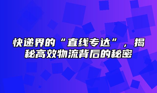 快递界的“直线专达”，揭秘高效物流背后的秘密