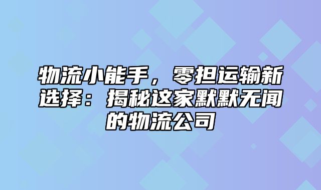 物流小能手，零担运输新选择：揭秘这家默默无闻的物流公司