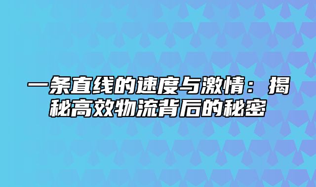 一条直线的速度与激情：揭秘高效物流背后的秘密