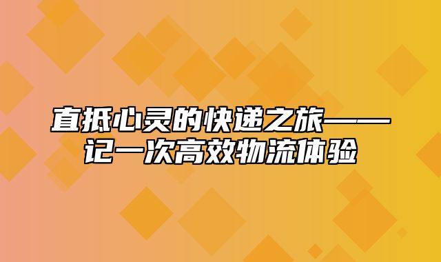 直抵心灵的快递之旅——记一次高效物流体验