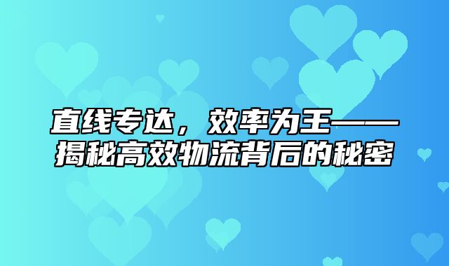 直线专达，效率为王——揭秘高效物流背后的秘密