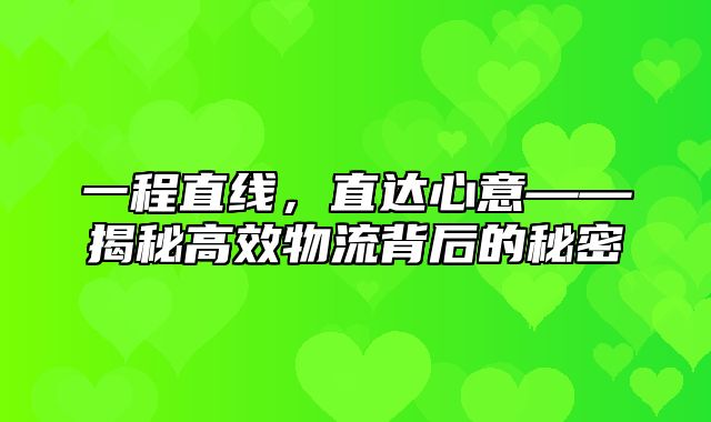 一程直线，直达心意——揭秘高效物流背后的秘密