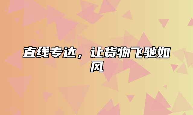 直线专达，让货物飞驰如风