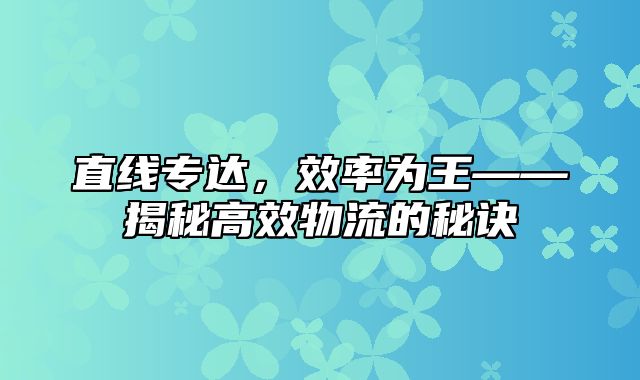 直线专达，效率为王——揭秘高效物流的秘诀