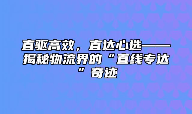 直驱高效，直达心选——揭秘物流界的“直线专达”奇迹