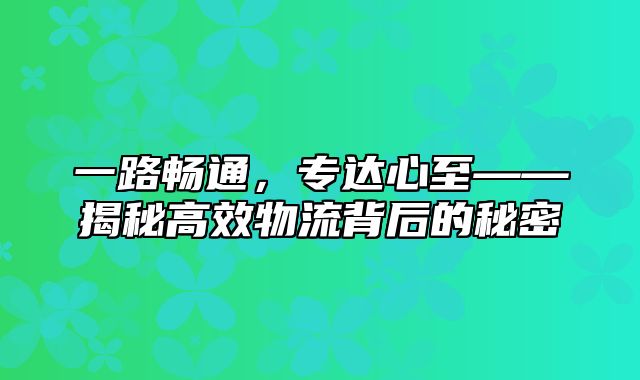 一路畅通，专达心至——揭秘高效物流背后的秘密