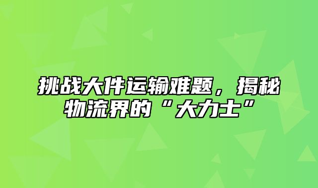 挑战大件运输难题，揭秘物流界的“大力士”