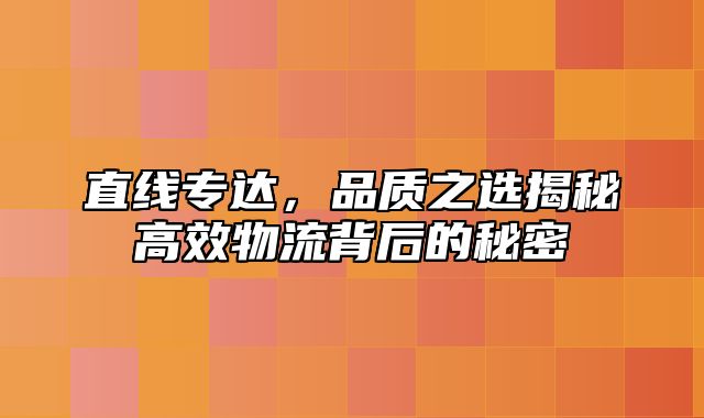 直线专达，品质之选揭秘高效物流背后的秘密