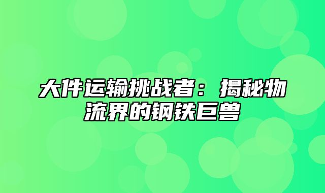 大件运输挑战者：揭秘物流界的钢铁巨兽