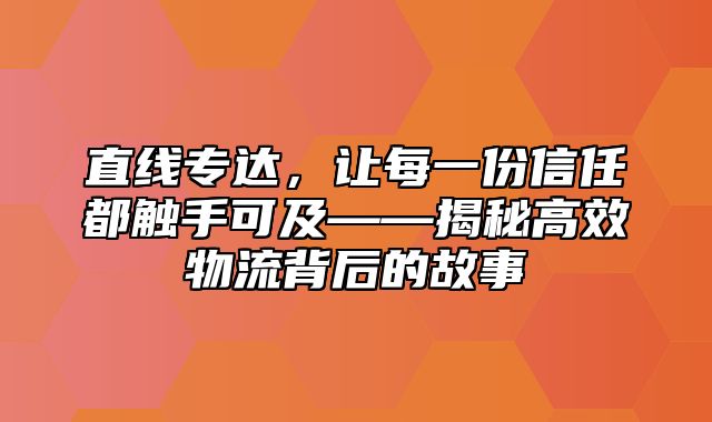 直线专达，让每一份信任都触手可及——揭秘高效物流背后的故事