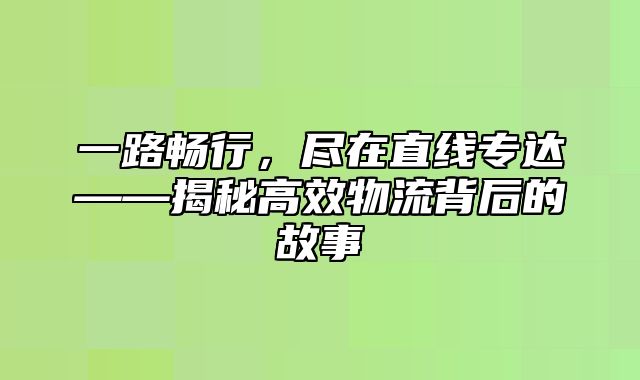 一路畅行，尽在直线专达——揭秘高效物流背后的故事