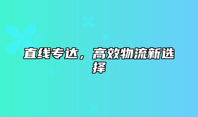 直线专达，高效物流新选择