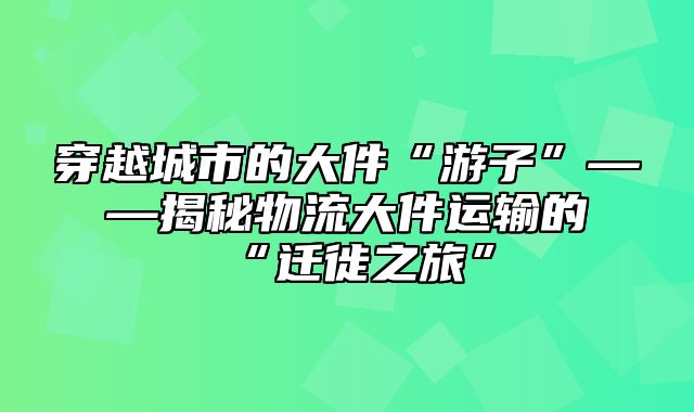 穿越城市的大件“游子”——揭秘物流大件运输的“迁徙之旅”