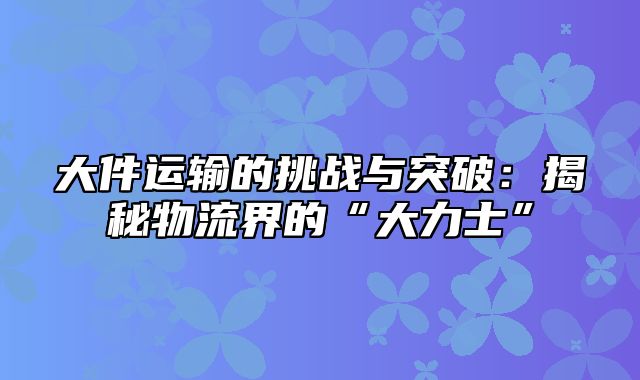 大件运输的挑战与突破：揭秘物流界的“大力士”