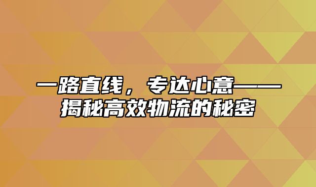 一路直线，专达心意——揭秘高效物流的秘密