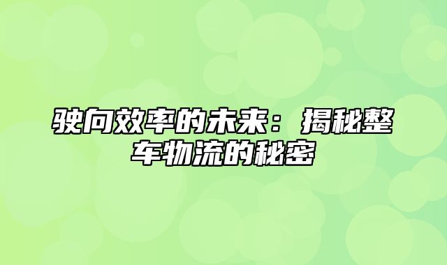 驶向效率的未来：揭秘整车物流的秘密