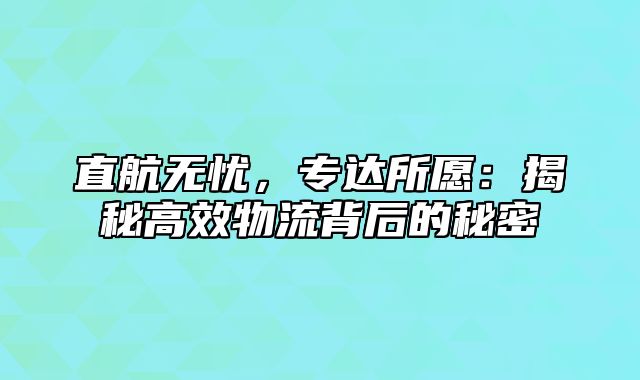 直航无忧，专达所愿：揭秘高效物流背后的秘密