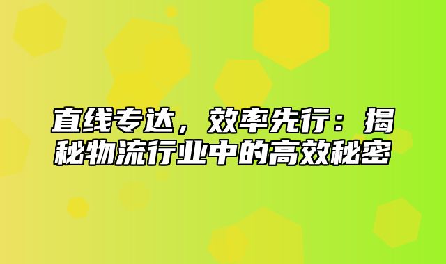 直线专达，效率先行：揭秘物流行业中的高效秘密