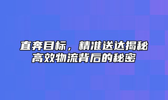 直奔目标，精准送达揭秘高效物流背后的秘密