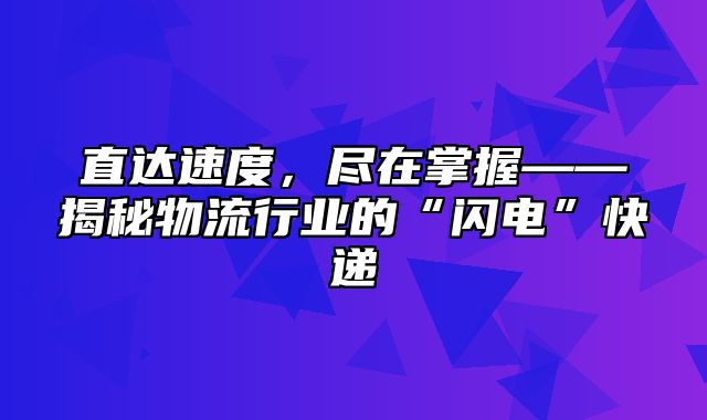 直达速度，尽在掌握——揭秘物流行业的“闪电”快递