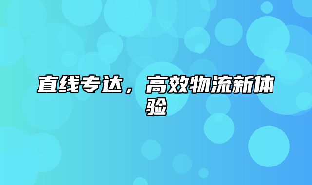 直线专达，高效物流新体验