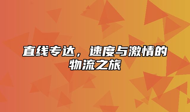 直线专达，速度与激情的物流之旅