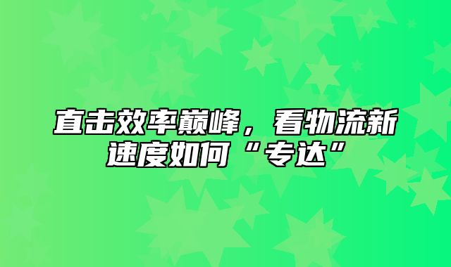 直击效率巅峰，看物流新速度如何“专达”