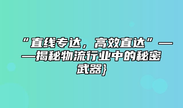 “直线专达，高效直达”——揭秘物流行业中的秘密武器}